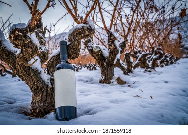 Vineyard In Winter With Snow And Bottle Of Red Wine On The Vines