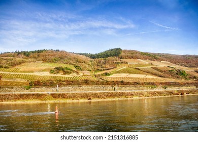 Vineyards along the Rhine River in Germany