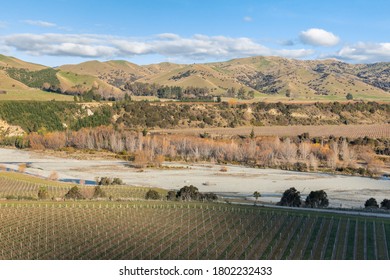Weinberge entlang des Wairau Flusses in der Region Marlborough, Südinsel, Neuseeland