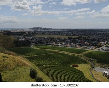 The Vineyards, Apple Farms And Winery Estates Of Napier