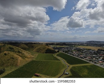 The Vineyards, Apple Farms And Winery Estates Of Napier