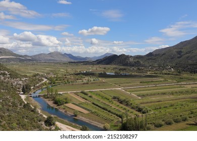 Vineyards by the river in the spring - Shutterstock ID 2152108297