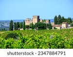 Vineyards of Chateauneuf du Pape appellation with grapes growing on soils with large rounded stones galets roules, lime stones, gravels, sand
and clay, famous full body red wines, France