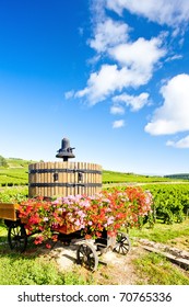 Vineyards Of Cote De Beaune Near Pommard, Burgundy, France