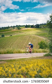 Vineyards And Cyclist, Tuscany, Italy. Chianti Region