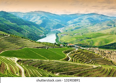 Vineyards In Douro Valley, Portugal, Portuguese Port Wine