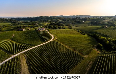 Vineyards And Fields On Italian Hills