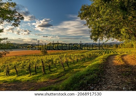 Vineyards, hills and Alps, narrow angle view of the beautiful Friuli Venezia Giulia plain landscape during autumn season at sundown time, cloudy sky, vibrant colors, Italy.