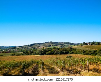 Vineyards in the hills of Tuscany. Autumn country landscape, agriculture and nature concept. - Shutterstock ID 1215617275