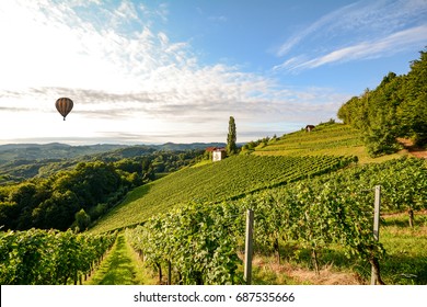 Vineyards with hot air balloon near a winery before harvest in the tuscany wine growing area, Italy Europe