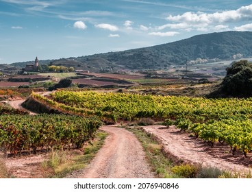 Vineyards In La Rioja , The Largest Wine Producing Region In Spain.