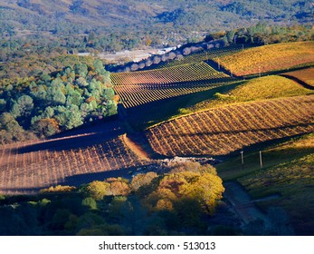 Vineyards, Lake County