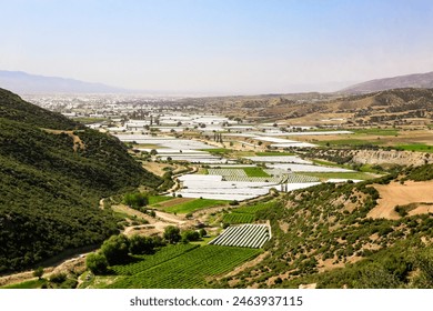 A lot of vineyards on Sarıgöl Plateau in Manisa, Türkiye. Aerial view of green fields and covered vineyards in valley. Center of agricultural industry. - Powered by Shutterstock