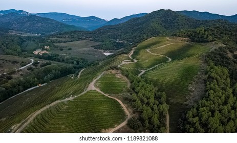 Vineyards Of Poboleda Priorat