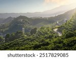 Vineyards and a road in the Prosecco Hills. Unesco World Heritage Site. Valdobbiadene, Veneto region, Italy