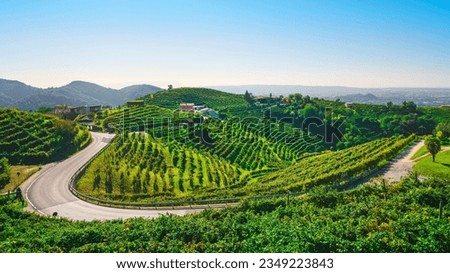 Vineyards and a road in the Prosecco Hills, Unesco World Heritage Site. Valdobbiadene, Veneto region, Italy