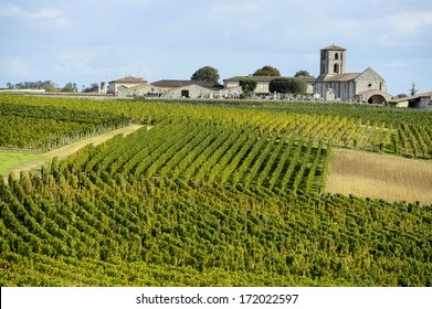 Vineyards Of Saint Emilion, Bordeaux Vineyards