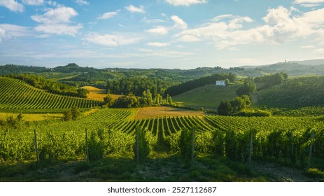 Vineyards in the San Gimignano countryside at sunset. You can see the towers of the village of San Gimignano on the right in the background. Province of Siena, Tuscany region, Italy - Powered by Shutterstock