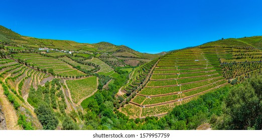 9,555 Douro Valley Images, Stock Photos & Vectors 