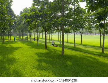 Vinh Phuc, Vietnam June 10, 2019
A Beautiful Sunny Day On A Green Park In Vinh Yen City In Vinh Phuc Province.