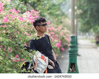 Vinh Phuc, Vietnam June 15, 2016: The Confetti Season Is Blossoming In All Streets In Vinh Yen City, Vinh Phuc.