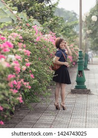 Vinh Phuc, Vietnam June 15, 2016: The Confetti Season Is Blossoming In All Streets In Vinh Yen City, Vinh Phuc.