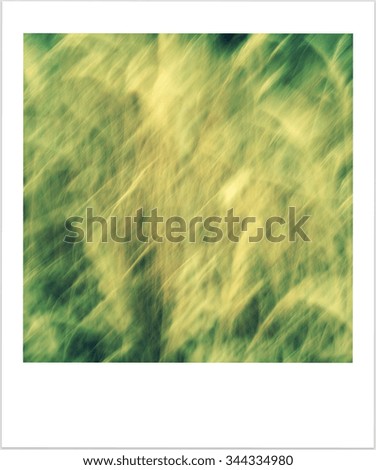 Similar – Foto Bild [FFM2011.1] Soft green