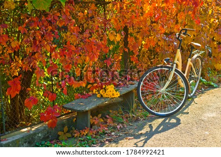 Vintage atmospheric autumnal photo of bicycle at the wall of beautiful burgundy colorful autumn leafs. Yellow flowers at the wooden park bench. Fall warm weather. Hipster style concept