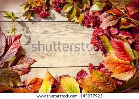 Vintage Autumn border from ashberry and and fallen leaves on old wooden table/Thanksgiving day concept