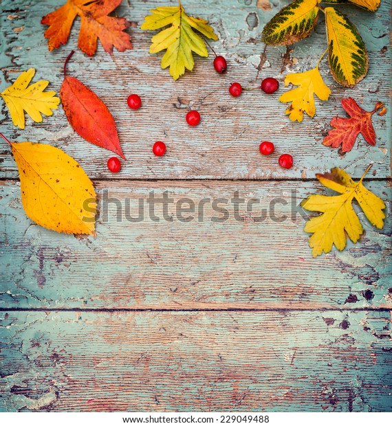 Vintage Autumn border from berries and fallen\
leaves on rustic table/ Thanksgiving day concept/ Autumn background\
with fallen leaves and\
copyspase