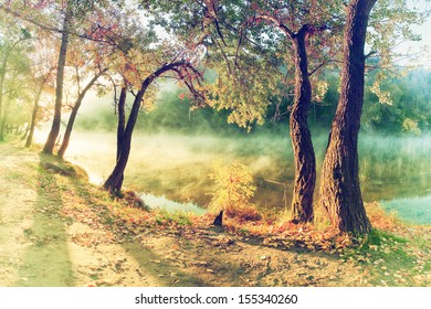Vintage autumn wood on the river bank, fog over water - Shutterstock ID 155340260
