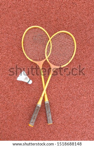 Vintage badminton racket with feather shuttlecock
