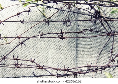 vintage barbed wire