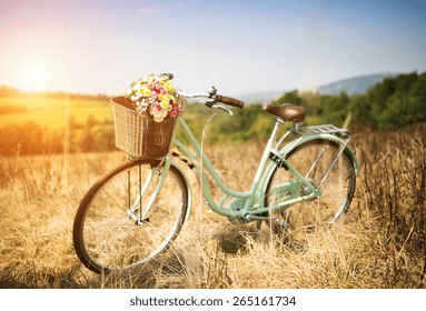 vintage bicycles with basket