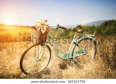Vintage bicycle with basket full of flowers standing in the field