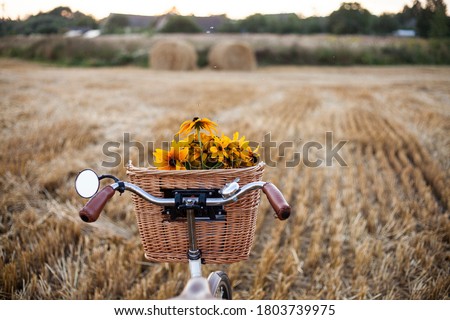 a  vintage bicycle with a bouquet of yellow flowers in a basket against  the background of a harvested rye field with haystacks