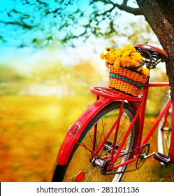 Vintage Bicycle with flowers on summer landscape background (toned picture)