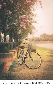 Vintage Bicycle In A Park At Sunset.Flim Grain, Vintage Tone 