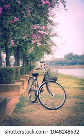 Vintage Bicycle In A Park At Sunset.Flim Grain, Japanese Tone

