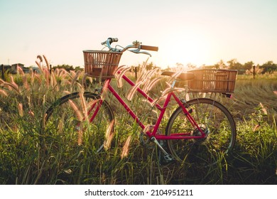 Vintage bicycle parked in landscape autumn field - Shutterstock ID 2104951211