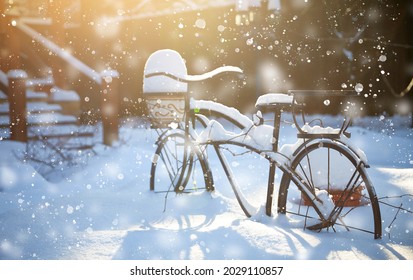 Vintage Bicycle Stand For Potted Plants. Winter Landscape With Beautiful Sunlight