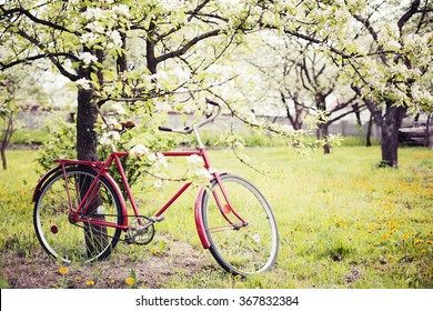 Vintage Bicycle Waiting Near Tree Against Spring Nature Background