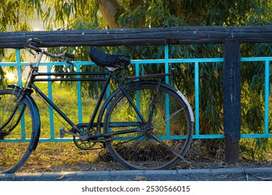 A vintage bicycle with a wicker basket parked under a leafy tree on a sunny day. Soft shadows on the grass, creating a peaceful, serene outdoor scene perfect for relaxation or travel themes. - Powered by Shutterstock