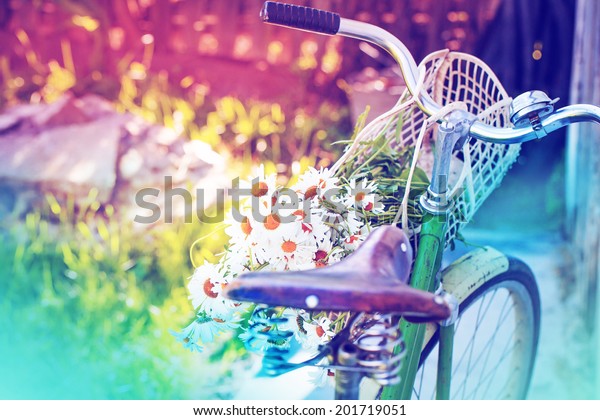 Vintage Bike
HandleBar with flowers and Colorful Background Bokeh /summer
background with bicycle (toned
picture)