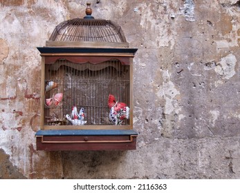 Photos Images Et Photographies De Stock De Cage Oiseau