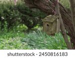 Vintage bird house covered by green mold with blurred background in Amish County