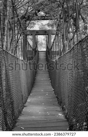 vintage black and white image of the rickety rope bridge at the mangrove forest 