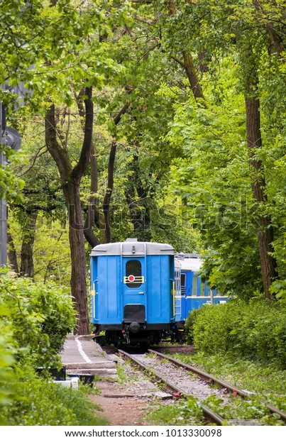 Vintage blue passenger rail\
car. Miss the train in train station. Journey to the last minute.\
Space for text. Railway station in the forest. Travel and vacation\
concept.