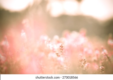 Vintage Blur Flower. (blurry Background)