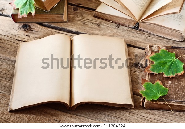 Vintage Books Open Blank Book On Stock Photo Edit Now 311204324